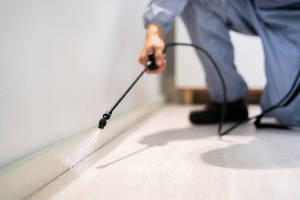 Licensed Termite Control service in Cascade, ID - Nex Pest Control
