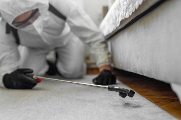 Professional Termite Control technician working in Cascade, ID