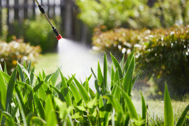 24/7 Emergency Termite Control experts in Cascade, ID