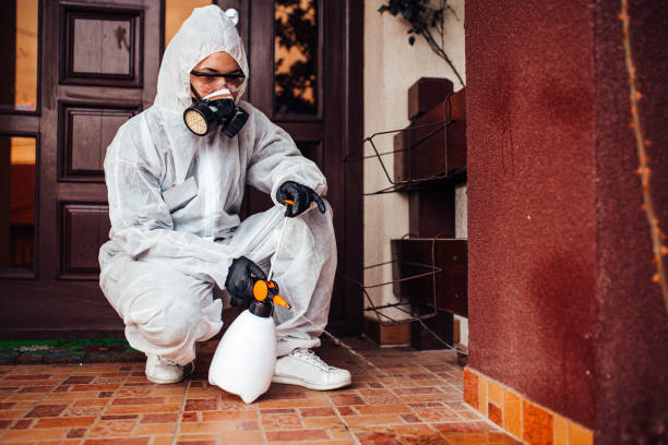 Reliable Termite Control contractor in Cascade, ID by Nex Pest Control