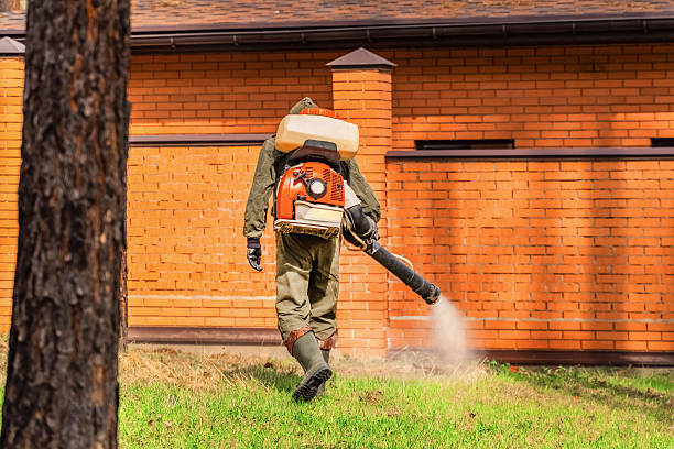 Top rated local Termite Control specialists in Cascade, ID